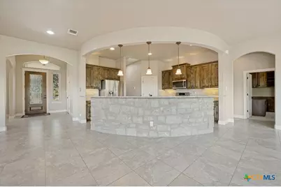 737 Flaman Road, Canyon Lake, TX 78133 - Photo 4