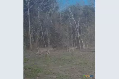 000 County Road 322, Shiner, TX 77984 - Photo 12