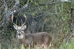 000 County Road 322, Shiner, TX 77984 - Photo 1