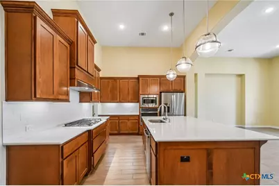 545 Copper Sage Drive, San Marcos, TX 78666 - Photo 8