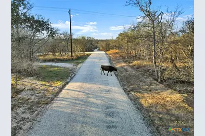 Tract 4, 5 US Hwy 90 Alt, Seguin, TX 78155 - Photo 34