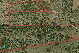 Tbd Cr 105, Other, TX 76550 - Photo 4