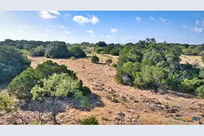 Tbd Cr 105, Other, TX 76550 - Photo 18