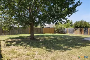 461 Wind Gust, New Braunfels, TX 78130 - Photo 20