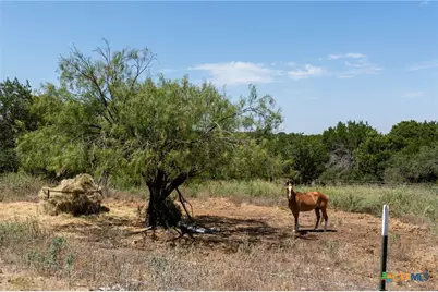 3322 County Road 1020, Lampasas, TX 76550 - Photo 4