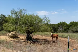 3322 County Rd 1020, Lampasas, TX 76550 - Photo 4
