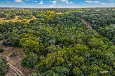 856 Whitley Road, Yoakum, TX 77995 - Photo 20