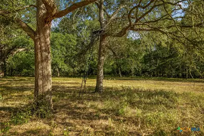 856 Whitley Road, Yoakum, TX 77995 - Photo 18