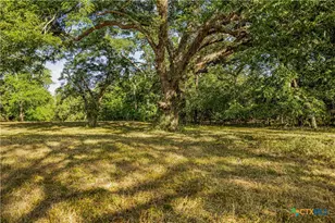 856 Whitley Rd, Yoakum, TX 77995 - Photo 8