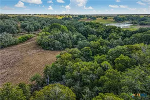 856 Whitley Rd, Yoakum, TX 77995 - Photo 4