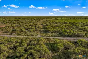 000 Fm 239, Tivoli, TX 77990 - Photo 10