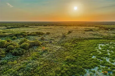 000 Fm 239, Tivoli, TX 77990 - Photo 1