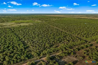000 Fm 239, Tivoli, TX 77990 - Photo 20