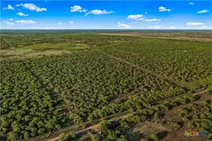 000 Fm 239, Tivoli, TX 77990 - Photo 20