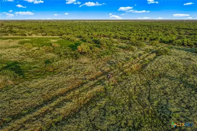 000 Fm 239, Tivoli, TX 77990 - Photo 22
