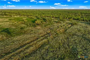 000 Fm 239, Tivoli, TX 77990 - Photo 22