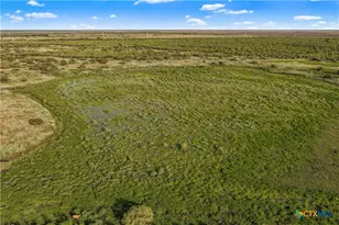 000 Fm 239, Tivoli, TX 77990 - Photo 6
