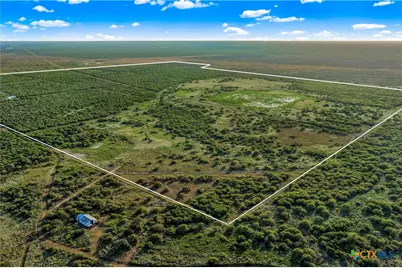 000 Fm 239, Tivoli, TX 77990 - Photo 2