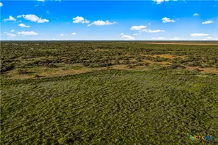 000 Fm 239, Tivoli, TX 77990 - Photo 18