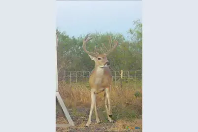 000 Fm 239, Tivoli, TX 77990 - Photo 24