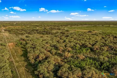 000 Fm 239, Tivoli, TX 77990 - Photo 8