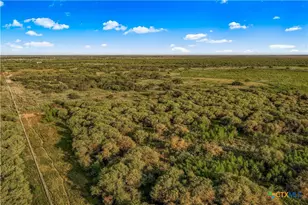 000 Fm 239, Tivoli, TX 77990 - Photo 8