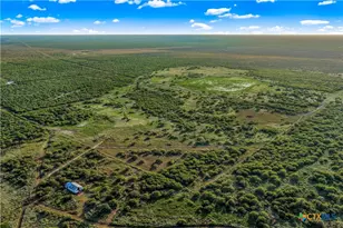 000 Fm 239, Tivoli, TX 77990 - Photo 14