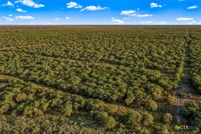 000 Fm 239, Tivoli, TX 77990 - Photo 26