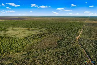 000 Fm 239, Tivoli, TX 77990 - Photo 28