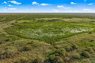 000 Fm 239, Tivoli, TX 77990 - Photo 4