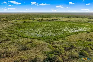 000 Fm 239, Tivoli, TX 77990 - Photo 4