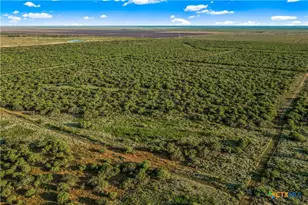 000 Fm 239, Tivoli, TX 77990 - Photo 16