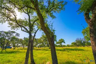0 Creekside Ranch, Johnson City, TX 78636 - Photo 8