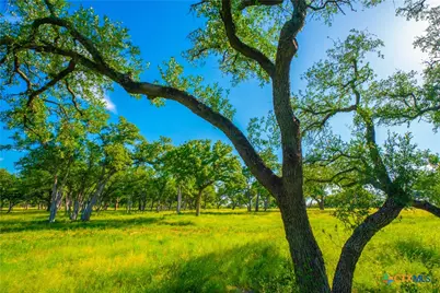 0 Creekside Ranch, Johnson City, TX 78636 - Photo 10
