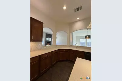 2310 Zoa Drive, Cedar Park, TX 78613 - Photo 6