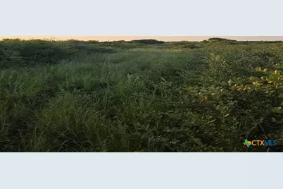 000 Carabajal Road #Tract 1547, Seadrift, TX 77983 - Photo 6