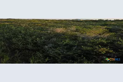 000 Carabajal Road #Tract 1547, Seadrift, TX 77983 - Photo 8
