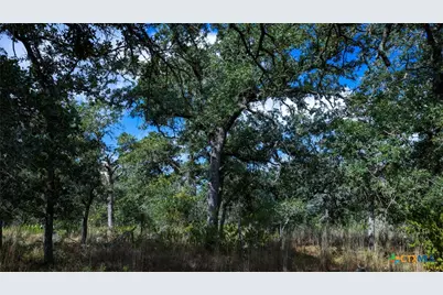 5476 County Road 427, Stockdale, TX 78160 - Photo 30