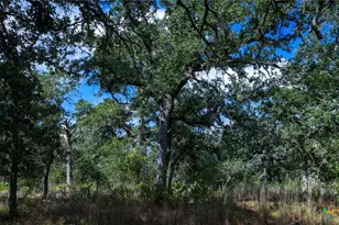 5476 County Rd 427, Stockdale, TX 78160 - Photo 30