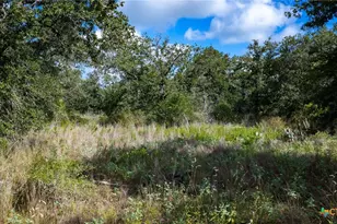 5476 County Rd 427, Stockdale, TX 78160 - Photo 28