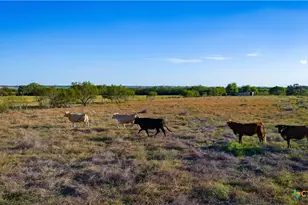 2850 Bylerpool Rd, Kingsbury, TX 78638 - Photo 4
