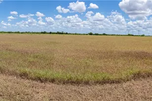 0 County Road 647, Mathis, TX 78368 - Photo 20