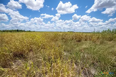 0 County Road 647, Mathis, TX 78368 - Photo 44