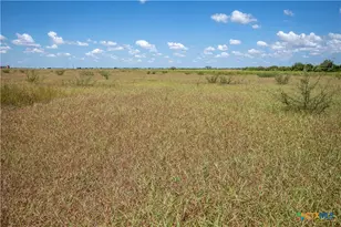 0 County Road 647, Mathis, TX 78368 - Photo 30