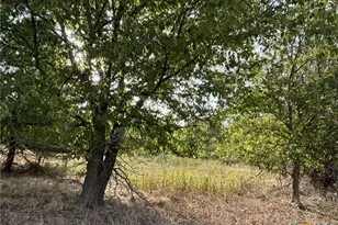 Tbd Cr 451, Lott, TX 76656 - Photo 4