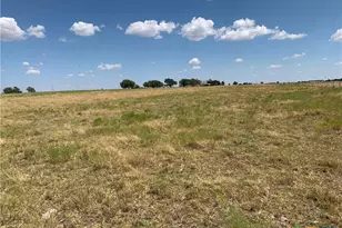 4390 Co Rd 220, Gatesville, TX 76528 - Photo 10