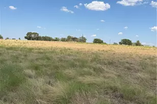 4390 Co Rd 220, Gatesville, TX 76528 - Photo 14