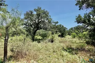 5711 FM765, San Saba, TX 76872 - Photo 12
