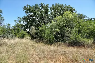 5711 Fm 765, San Saba, TX 76872 - Photo 20