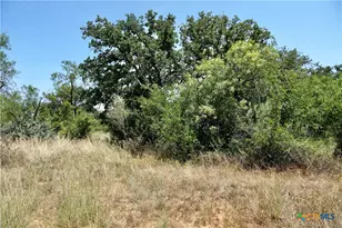 5711 FM765, San Saba, TX 76872 - Photo 20